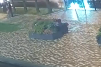 Полиция и прокуратура взялись за вандалов, ворующих растения с клумб Ставрополя пресс-служба администрации Ставрополя