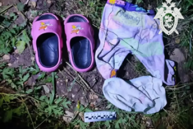 После смерти маленькой девочки и пропажи ее брата возбудили дело на Ставрополье СУ СК по Ставрополью