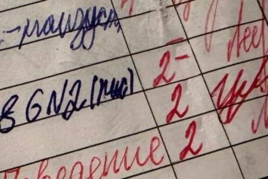 Сможете доказать, что ваш дневник не был усыпан двойками? ИА Stavropol.Media