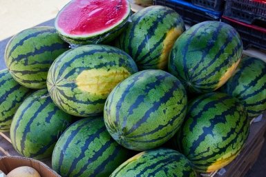 Врач перечислила болезни, при которых арбуз опасен