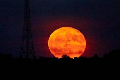 Луна Дмитрий Осипчук, ИА PrimaMedia.ru