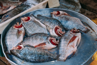 На рынке Севастополя нашли сомнительную рыбную продукцию
