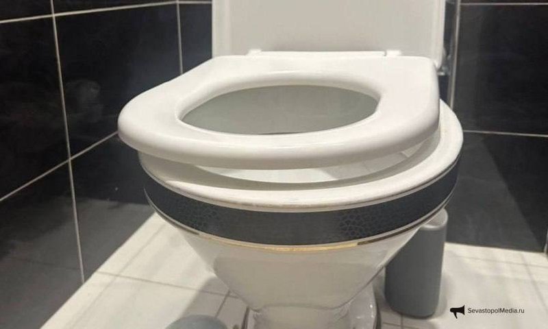 Одна горсть в унитаз: и весь месяц без неприятного запаха – даже щеткой не чищу ИА SevastopolMedia