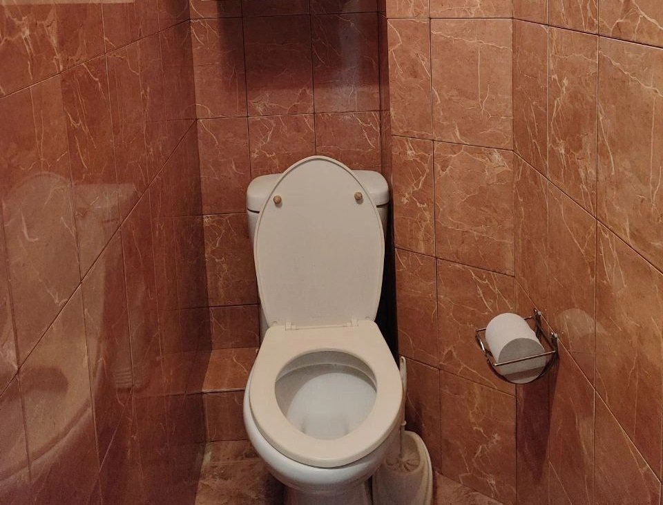 Смешиваю уксус, йод и соду — и унитаз стал ослепительно белым: растворяет даже самый безнадежный налет ИА SevastopolMedia