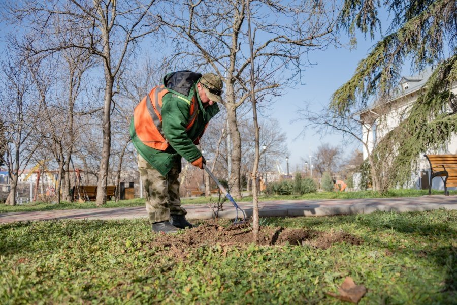 В сквере готовят клумбы к весне Правительство Севастополя