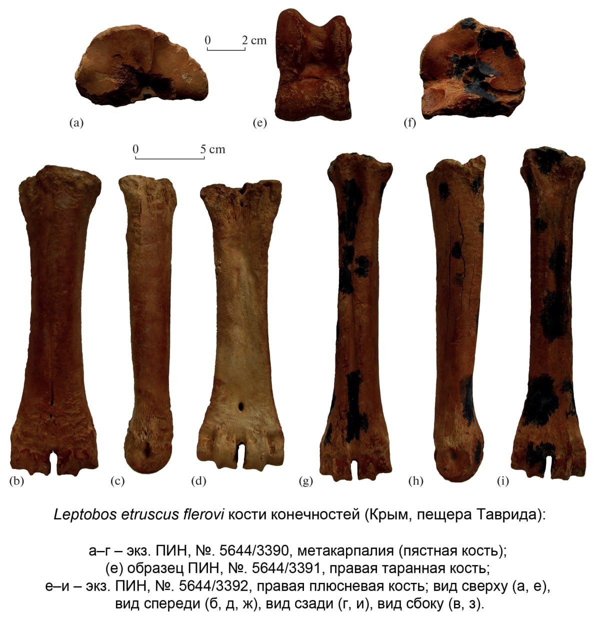 Телеграм-канал 