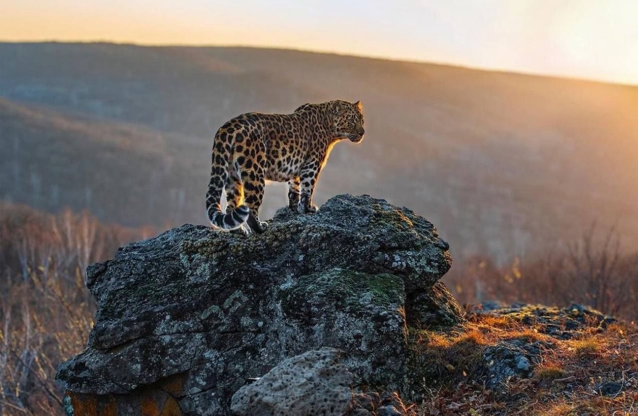 Пресс-служба ВТБ