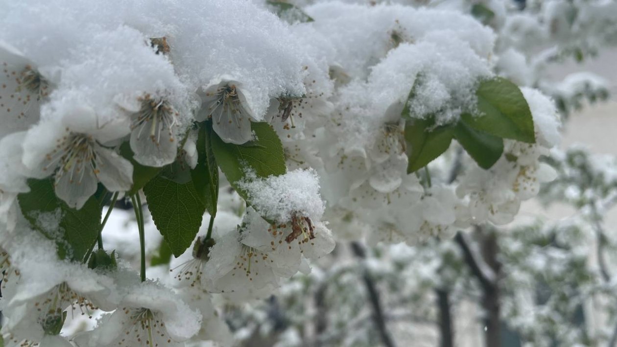 Тематическое фото ИА Stavropol.Media