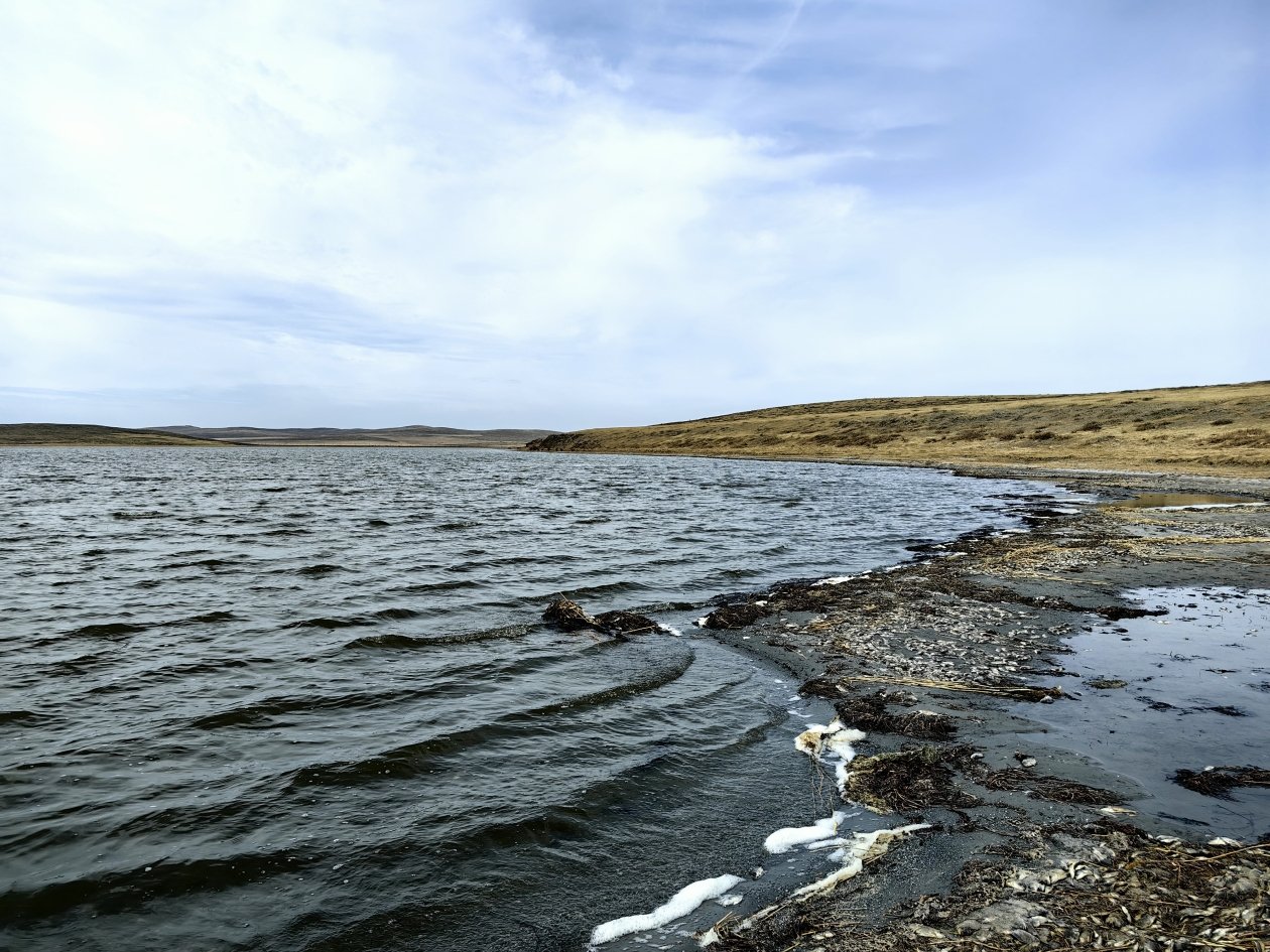 Тематическое фото Анета  Абрамченко, ИА ChitaMedia