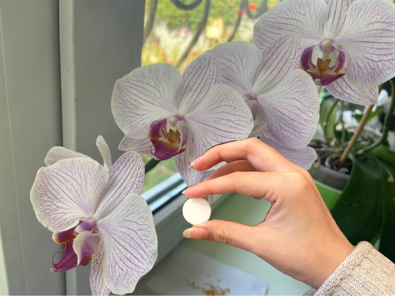 Тематическое фото ИА Stavropol.Media