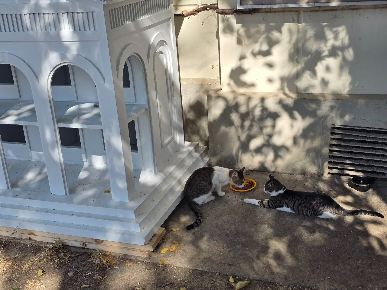 Тематическое фото ИА SevastopolMedia