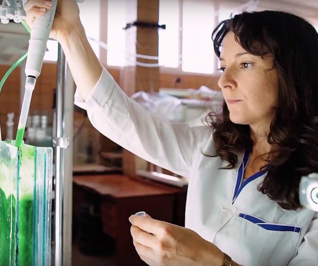 Ученые работают над хлореллой ФИЦ ИНБЮМ