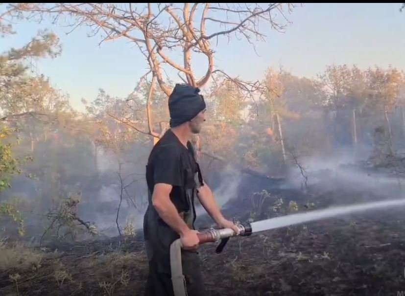 Кадр из видео ГУ МЧС России по Республике Крым