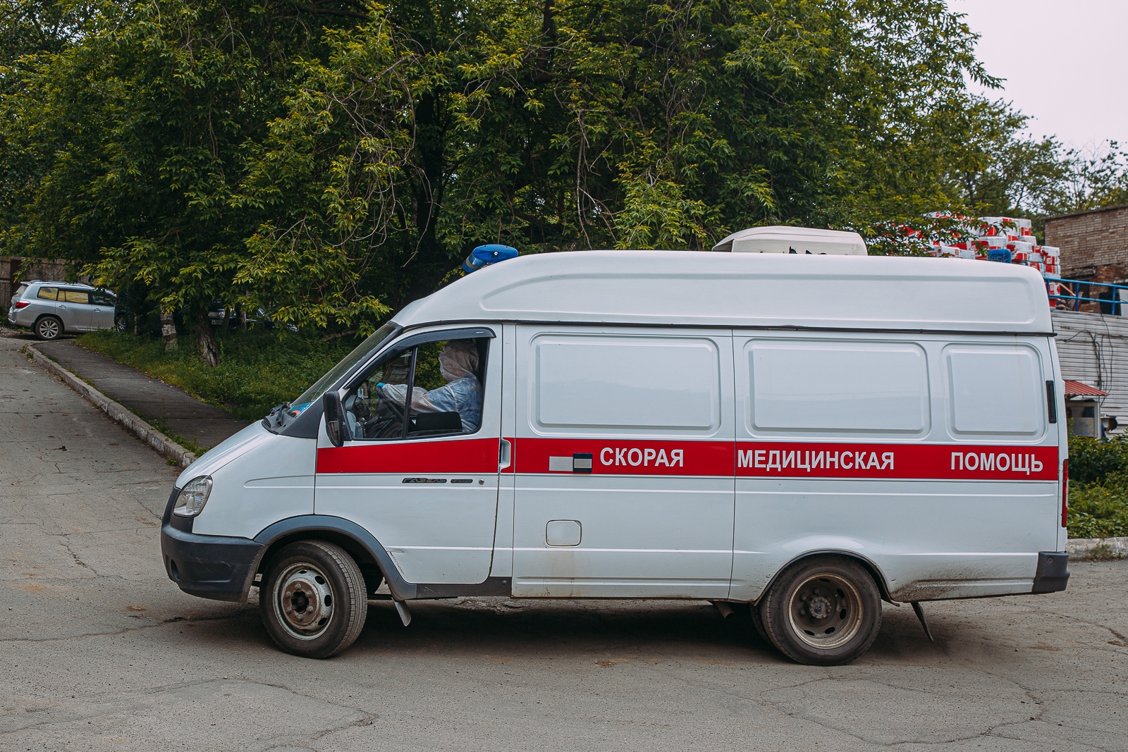 Тематическое фото Мария Смитюк, ИА PrimaMedia
