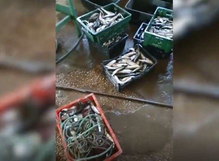 Кадр из видео Прокуратура Севастополя