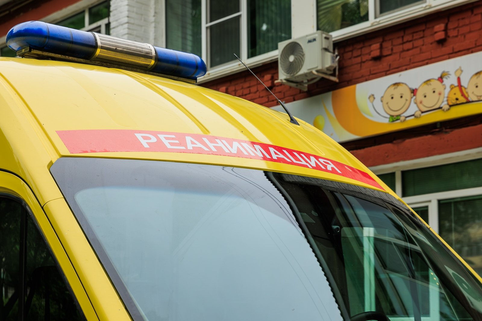 Тематическое фото Яна Гайдук , ИА PrimaMedia